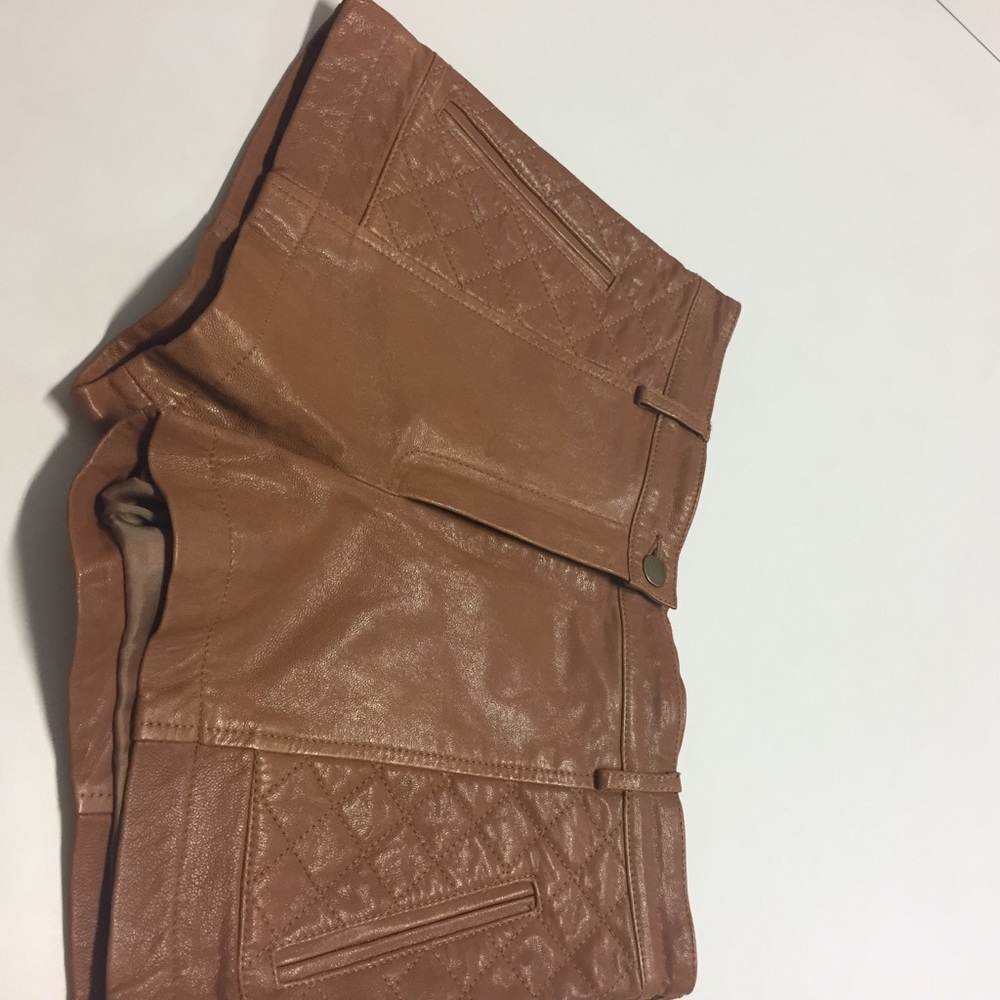 Thakoon Brown Quilted Lambskin Shorts Size 0 - Picture 11 of 12